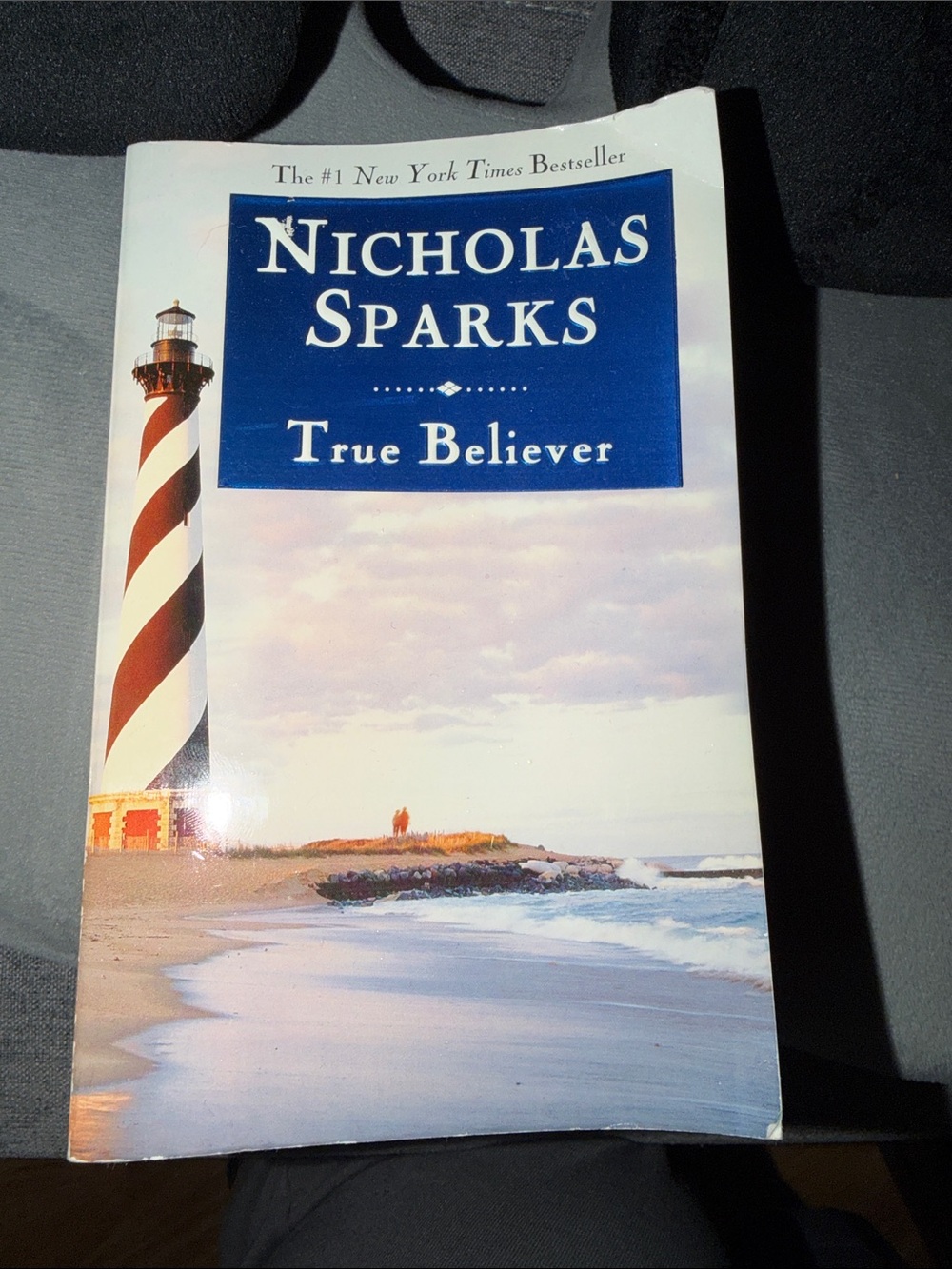 Nicholas Sparks True Believer Paperback Notebook - Blue & White
